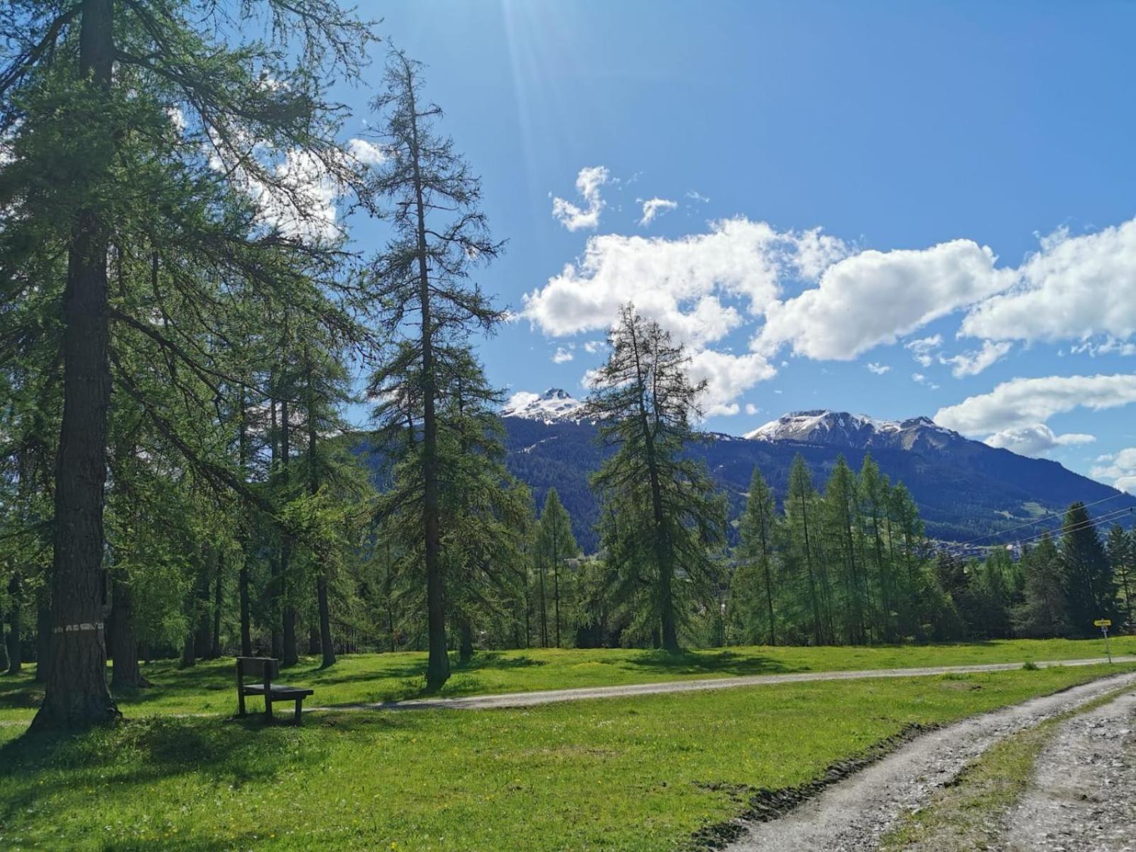 Tiroler Alpblick Appartements Ehrwald Eksteriør bilde